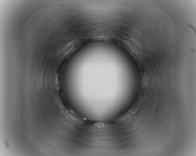 X0000091590764200708200952