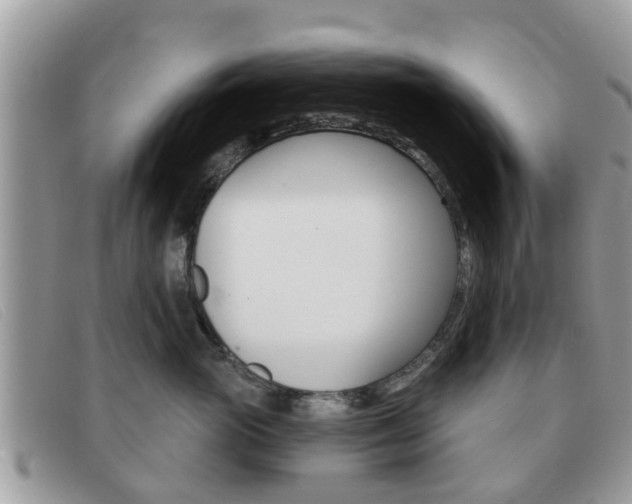 X0000091590765200708200952