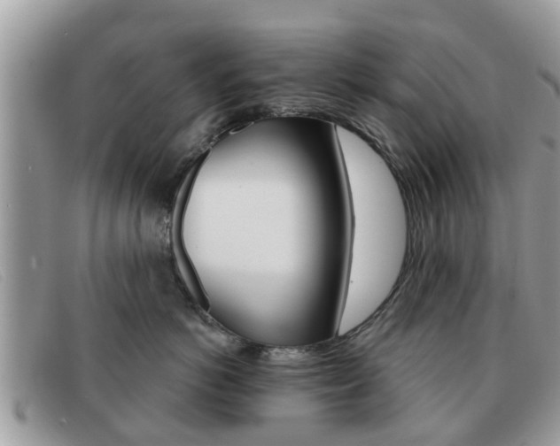 X0000091590766200708200952