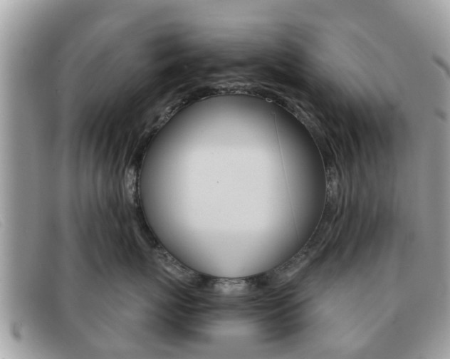 X0000091590767200708200952