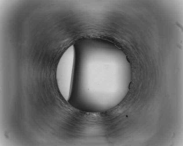 X0000091590768200708200952
