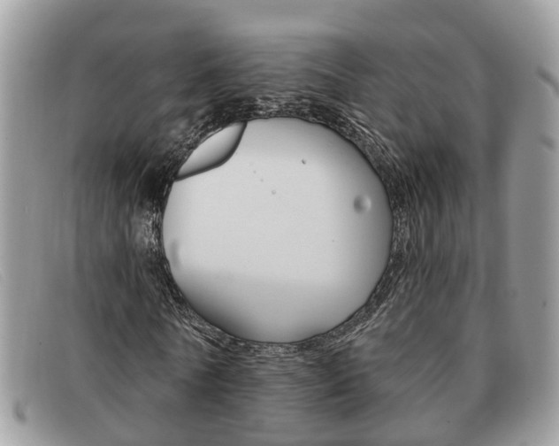 X0000091590770200708200951