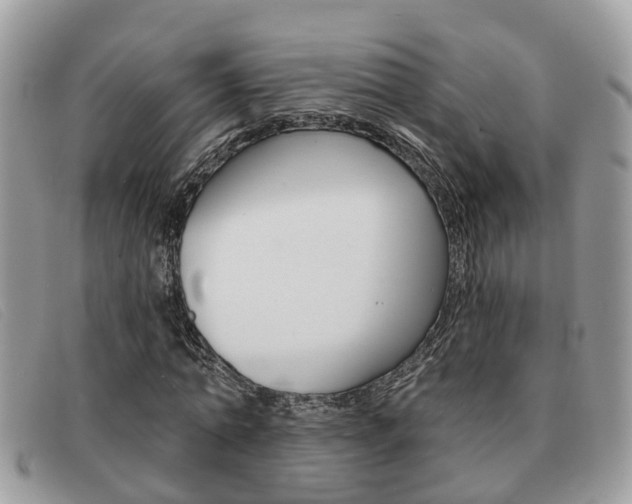 X0000091590774200708200951
