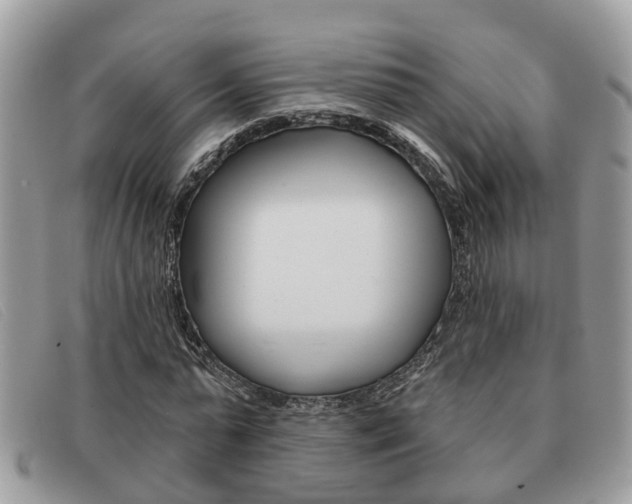 X0000091590775200708200951