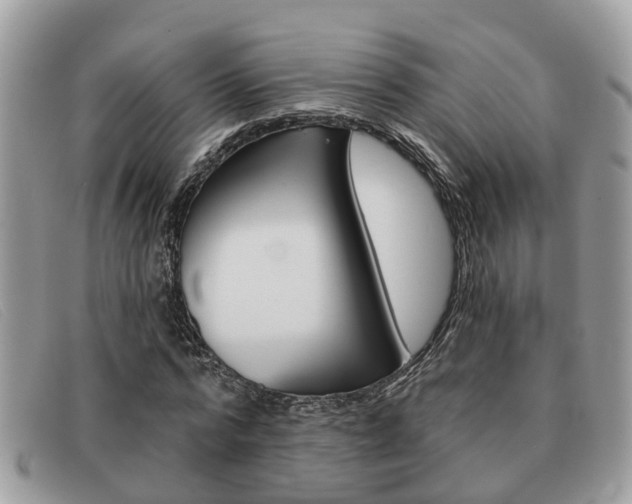 X0000091590776200708200951