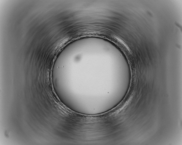 X0000091590777200708200951