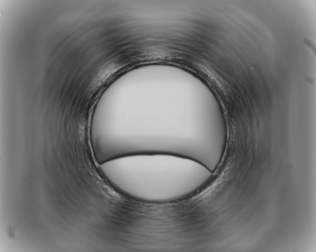 X0000091590778200708200951