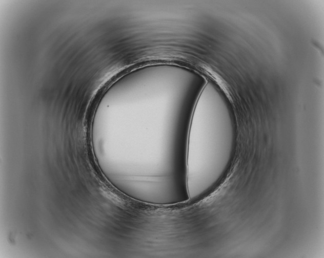 X0000091590779200708200951