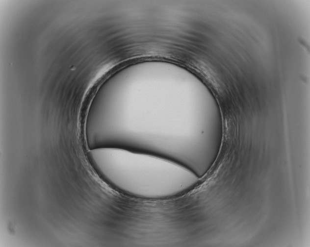 X0000091590780200708200951