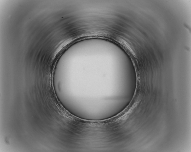 X0000091590781200708200951