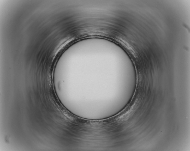 X0000091590782200708200951
