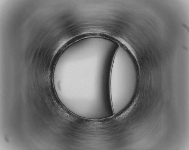 X0000091590783200708200951