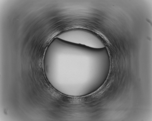 X0000091590785200708200951