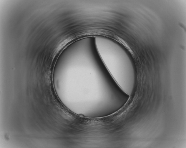 X0000091590786200708200951