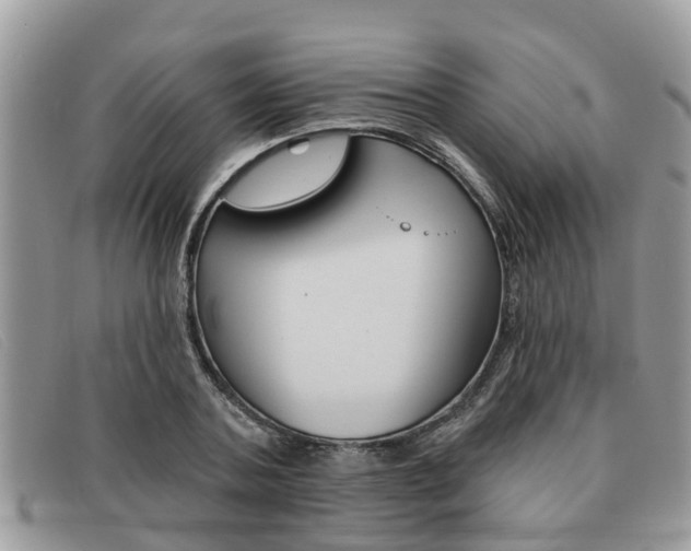 X0000091590787200708200951