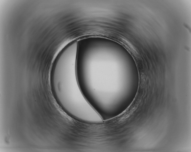 X0000091590788200708200951