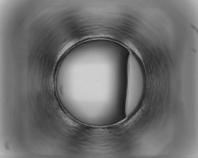 X0000091590789200708200951
