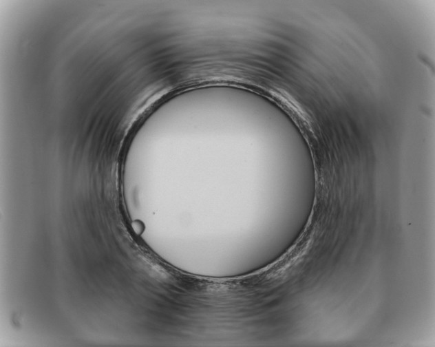 X0000091590790200708200951