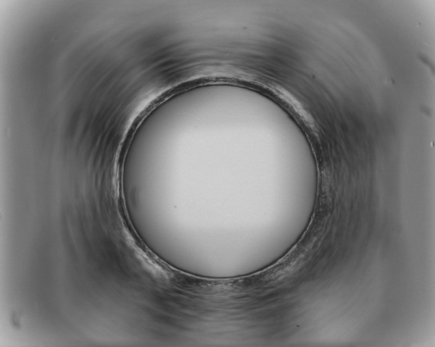 X0000091590791200708200951