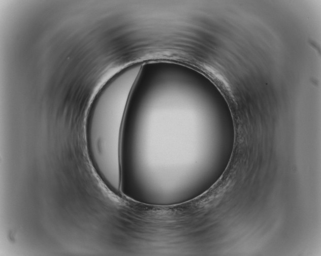 X0000091590792200708200951