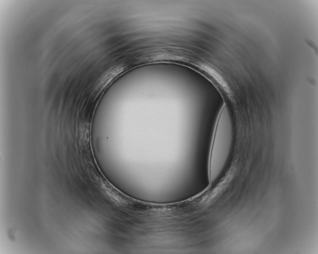 X0000091590793200708200951