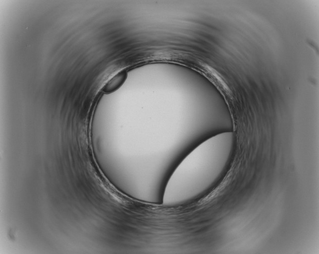 X0000091590794200708200951