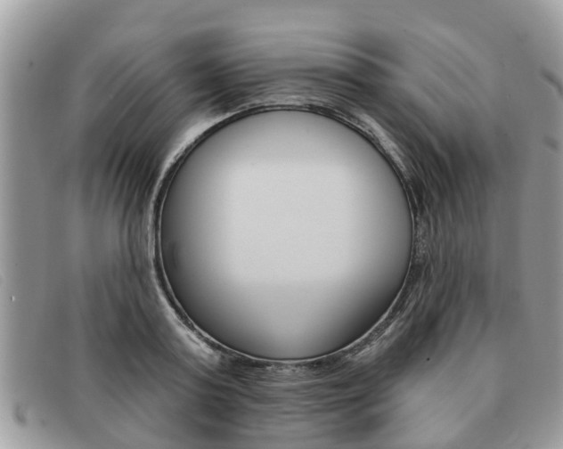 X0000091590795200708200951