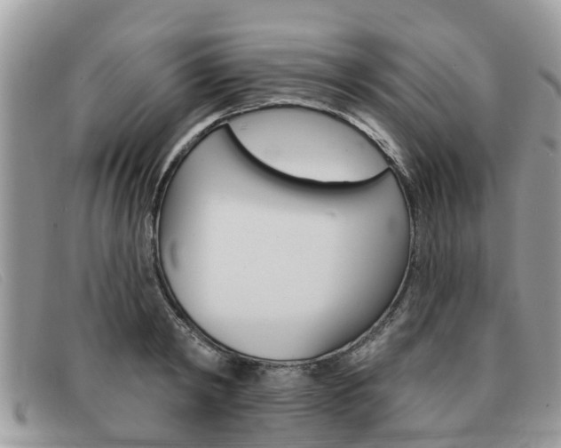 X0000091590798200708200951