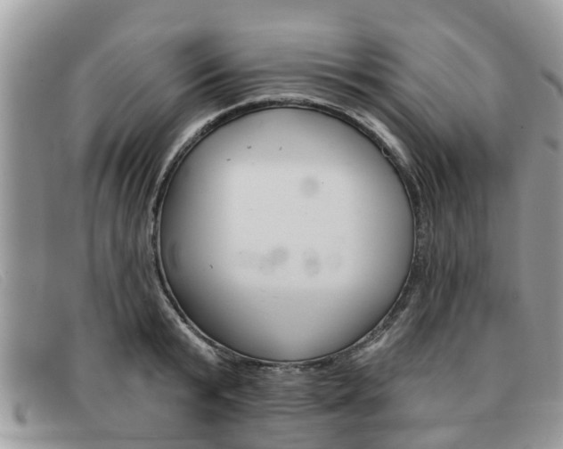 X0000091590799200708200951