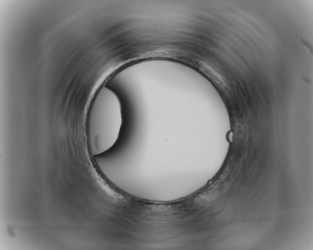 X0000091590800200708200951