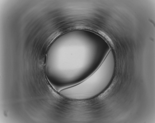 X0000091590801200708200951