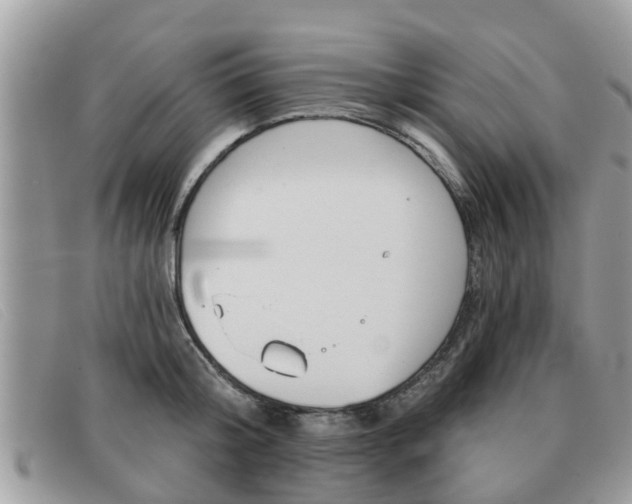 X0000091590804200708200951