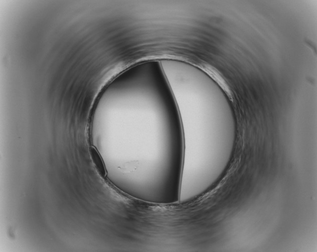 X0000091590805200708200951