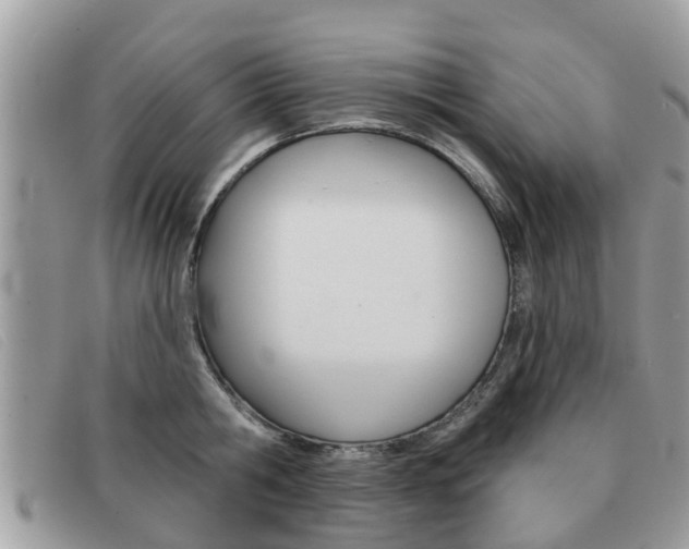 X0000091590806200708200951
