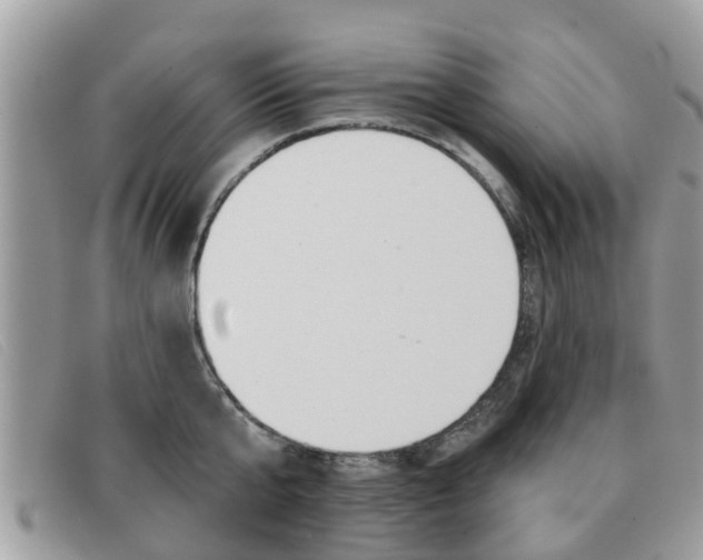 X0000091590807200708200951