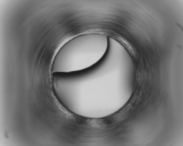 X0000091590808200708200951