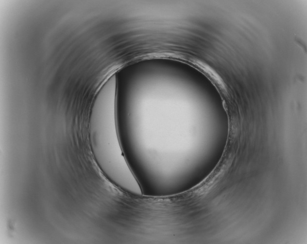 X0000091590809200708200951