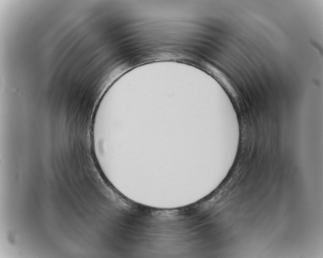 X0000091590810200708200951
