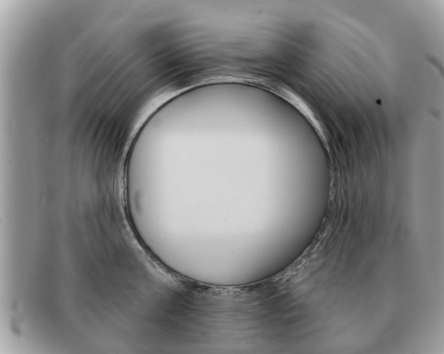 X0000091590811200708200951