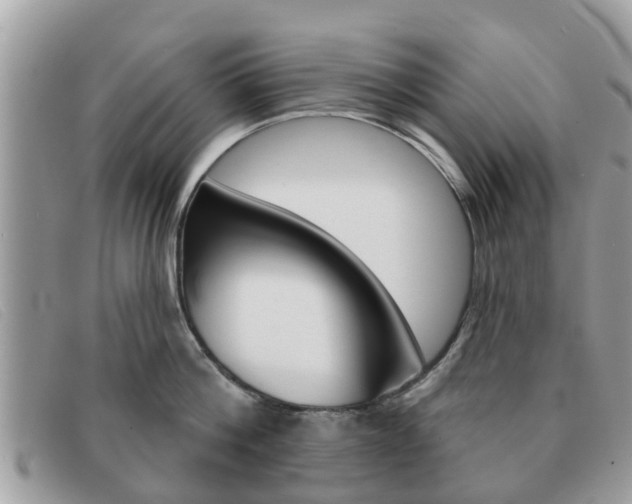 X0000091590812200708200951