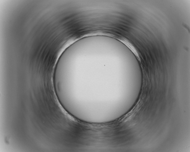 X0000091590813200708200951