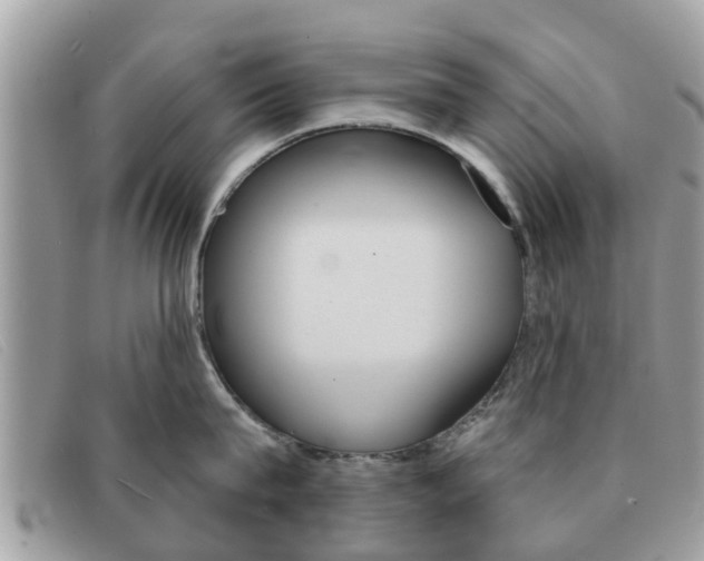 X0000091590815200708200951
