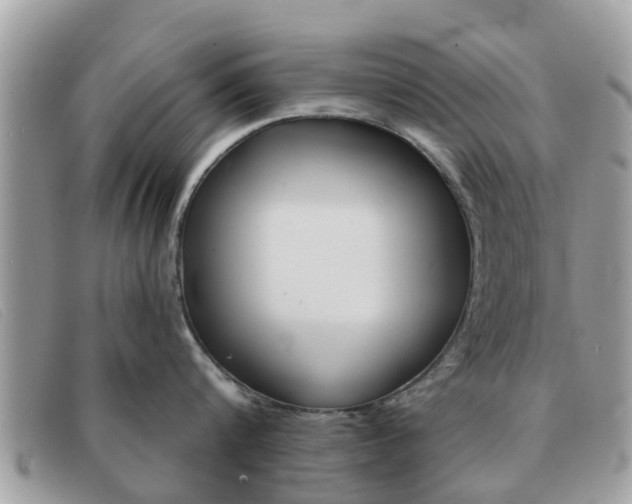X0000091590816200708200951