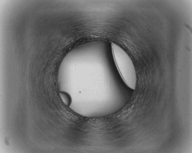 X0000091590817200708200950