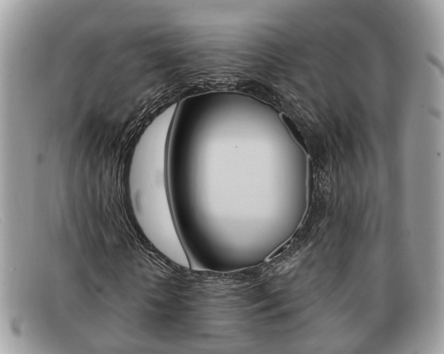 X0000091590818200708200950