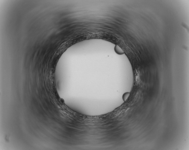 X0000091590819200708200950