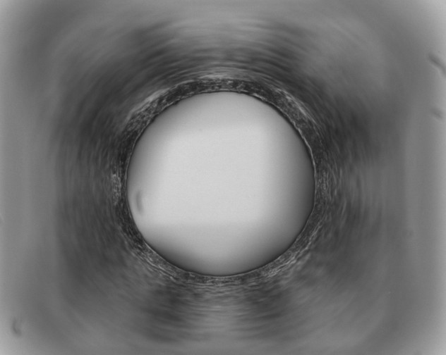 X0000091590821200708200950