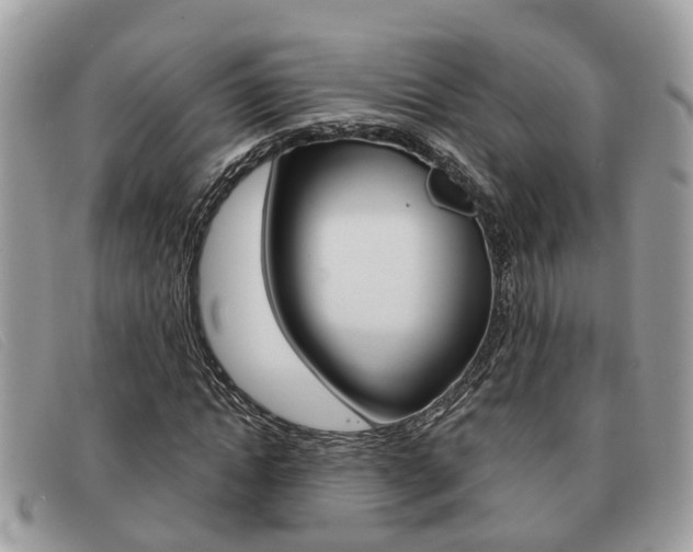 X0000091590822200708200950