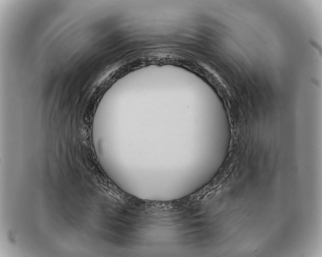 X0000091590823200708200950