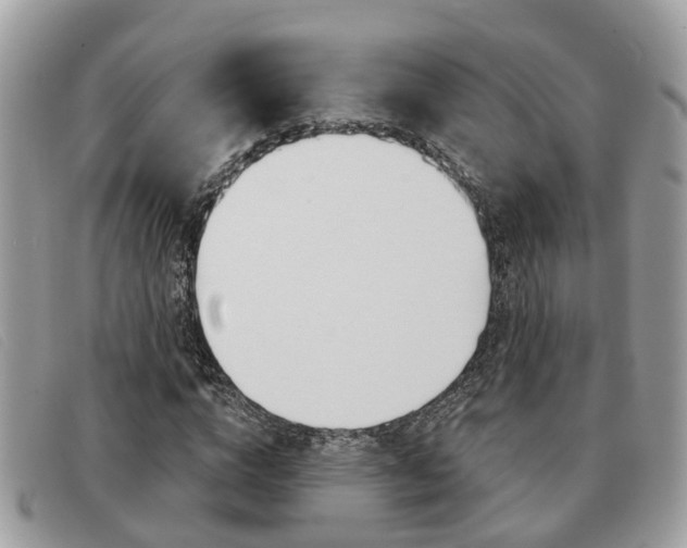 X0000091590824200708200950